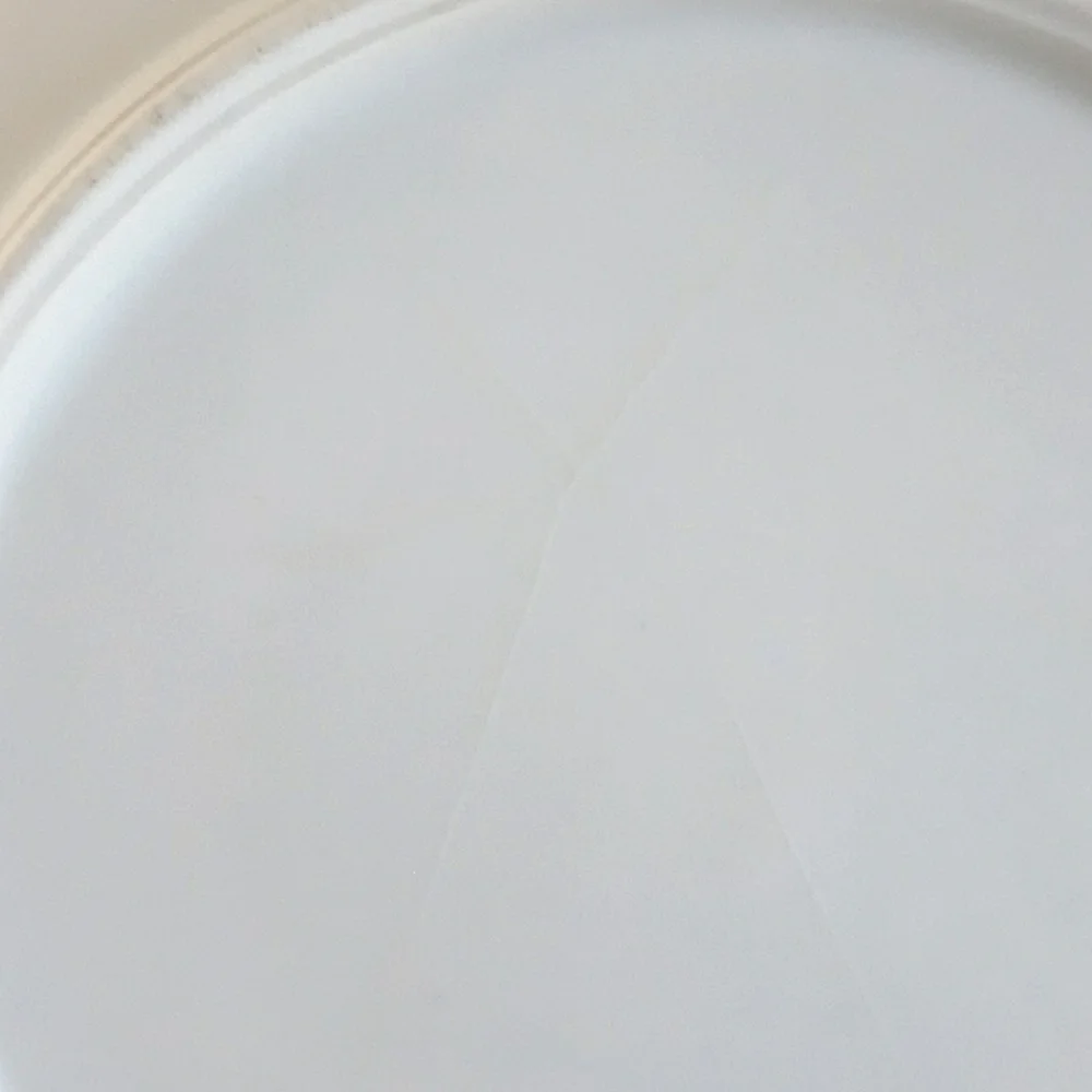 K&L Germany floral porcelain bowl